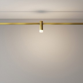 Накладной светильник Maytoni Technical Skim латунь арт. TR145-1-3W4K-W-BS