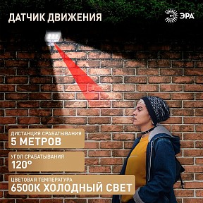 Прожектор Эра  серый арт. ERAFS048-08