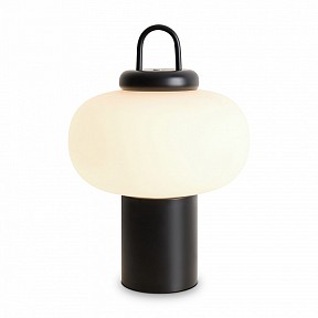 Настольная лампа декоративная Freya Take черный арт. FR6175TL-L10B
