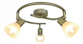 Спот Arte Lamp Parry бронза арт. A5062PL-3AB