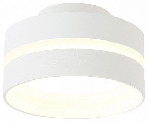 Накладной светильник Ambrella Light TN белый арт. TN5419
