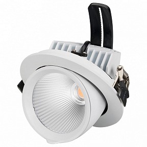 Встраиваемый светильник Arlight Ltd-Explorer белый арт. LTD-EXPLORER-R130-20W Warm3000 (WH, 38 deg)