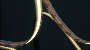 Лента светодиодная SWG PRO SWG-COB  арт. SWG-COB840-24-18-RGBWW