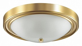 Накладной светильник Lumion Nina желтый арт. 5259/3C