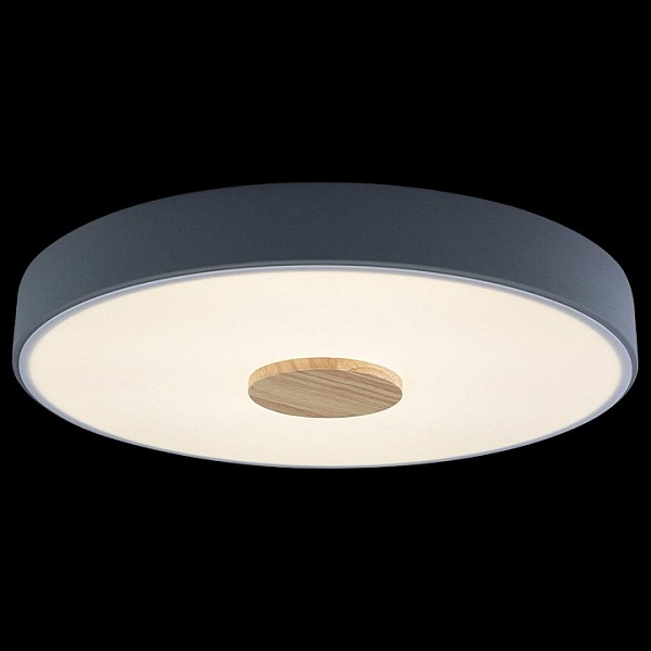 Накладной светильник Loft it Axel 2 серый арт. 10003/24 Grey