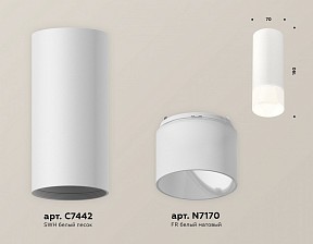 Накладной светильник Ambrella Light XS белый арт. XS7442016