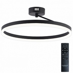 Светильник на штанге Natali Kovaltseva FINAM  арт. LED LAMPS 81121/2C