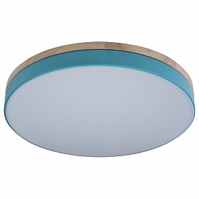 Накладной светильник Loft it Axel яркие арт. 10001/36 Blue