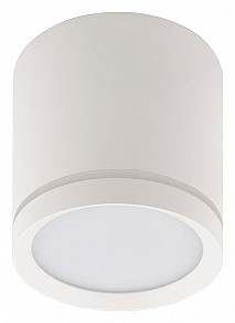 Накладной светильник Denkirs DK4016 белый арт. DK4013-WH