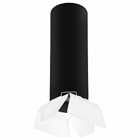 Накладной светильник Lightstar Rullo черный арт. R6497486