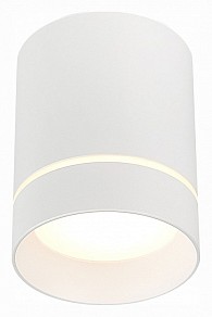 Накладной светильник ST-Luce ST115 белый арт. ST115.532.12