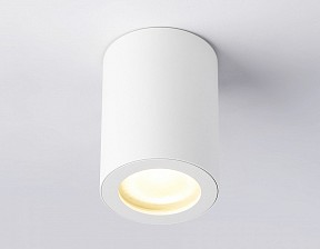 Накладной светильник Ambrella Light TN белый арт. TN22797