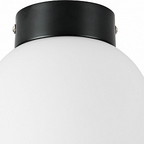 Накладной светильник Lightstar Globo черный арт. 812017