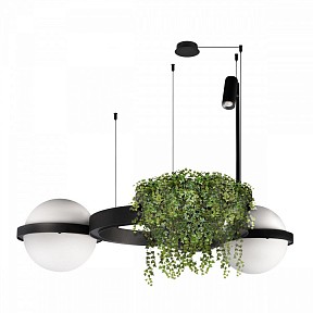 Подвесной светильник Loft it Jardin черный арт. 10121/2