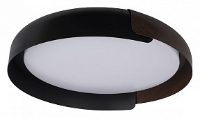 Накладной светильник Loft it Coin черный арт. 10198 Black