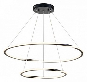 Подвесной светильник Arte Lamp Veritate черный арт. A2211SP-2BK