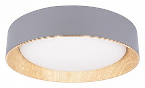 Накладной светильник Loft it Coin серый арт. 10202 Grey
