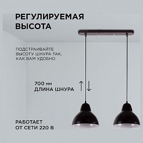 Подвесной светильник Apeyron Electrics  черный арт. 16-67