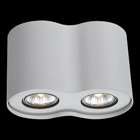 Накладной светильник Arte Lamp Falcon белый арт. A5633PL-2WH