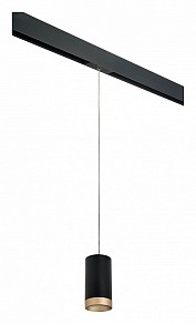 Подвесной светильник Lightstar Rullo черный арт. PRORP43740