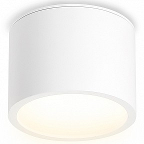 Накладной светильник Ambrella Light TN белый арт. TN6550