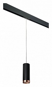 Подвесной светильник Lightstar Rullo черный арт. PRORP487430