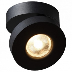 Накладной светильник Arte Lamp 2511 черный арт. A2511PL-1BK