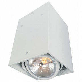 Накладной светильник Arte Lamp Cardani белый арт. A5936PL-1WH