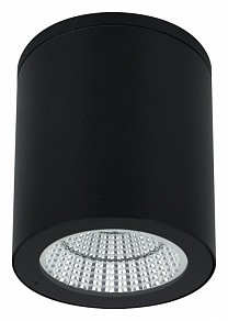 Накладной светильник Arte Lamp A1813 черный арт. A1813PF-1BK