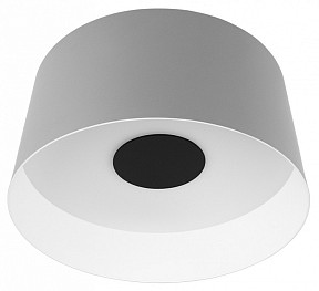 Накладной светильник Loft it Duo серый арт. 10360M Grey