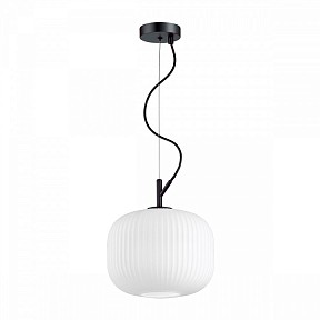 Подвесной светильник Odeon Light Roofi черный арт. 4753/1