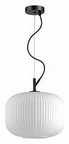 Подвесной светильник Odeon Light Roofi черный арт. 4754/1