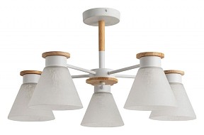 Люстра на штанге Arte Lamp Tyler белый арт. A1031PL-5WH