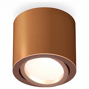 Накладной светильник Ambrella Light XS коричневый арт. XS7404002