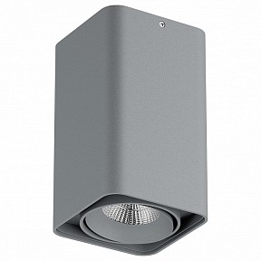 Накладной светильник Lightstar Monocco серый арт. 052339-IP65