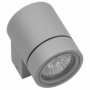 Светильник на штанге Lightstar Paro серый арт. 350609