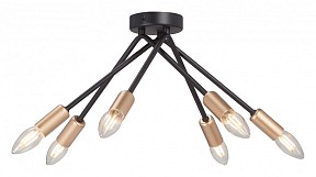 Потолочная люстра Vitaluce V3021 черный арт. V3021-1/6PL