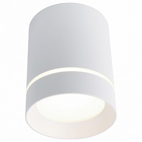 Накладной светильник Arte Lamp 1909 белый арт. A1909PL-1WH