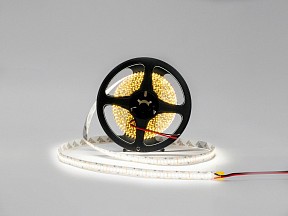 Лента светодиодная SWG SWG20240  арт. SWG20240-12-24-NW-M
