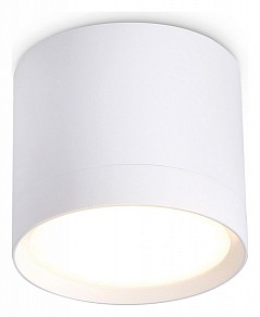 Накладной светильник Ambrella Light TN белый арт. TN5350