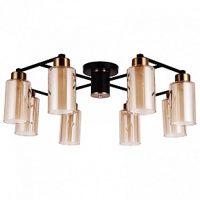 Потолочная люстра Arte Lamp Leo черный арт. A7027PL-8BK
