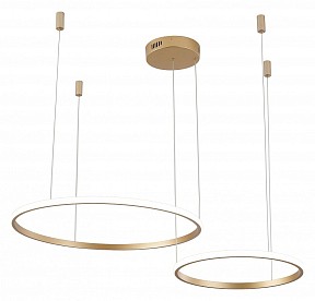 Подвесной светильник Zortes Ringolight золото арт. ZRS.33320.63F