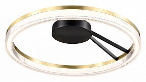 Накладной светильник Lightstar Rotonda черный арт. 736040