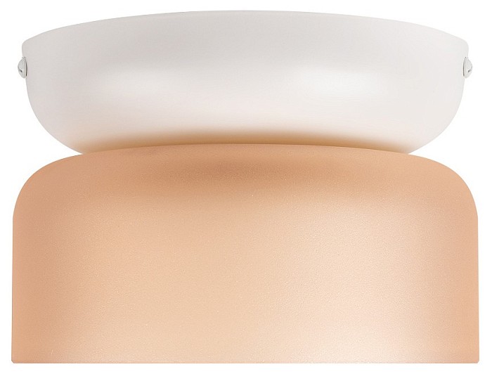 Накладной светильник Loft it Totem белый арт. 10466 Amber matte