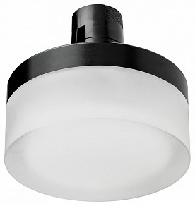 Накладной светильник Lightstar Due Hermes черный арт. 210647