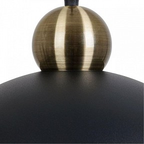 Подвесной светильник Arte Lamp Recinto черный арт. A7053SP-1BK