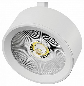 Плафон Lightstar Alta Pro  арт. 215636