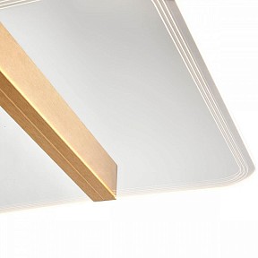 Накладной светильник Vele Luce Futuro золото арт. VL7224L21