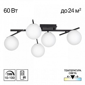 Потолочная люстра Citilux Dorsy черный арт. CL223152