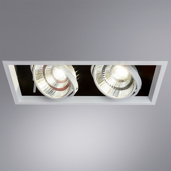 Встраиваемый светильник Arte Lamp Merga белый арт. A8450PL-2WH